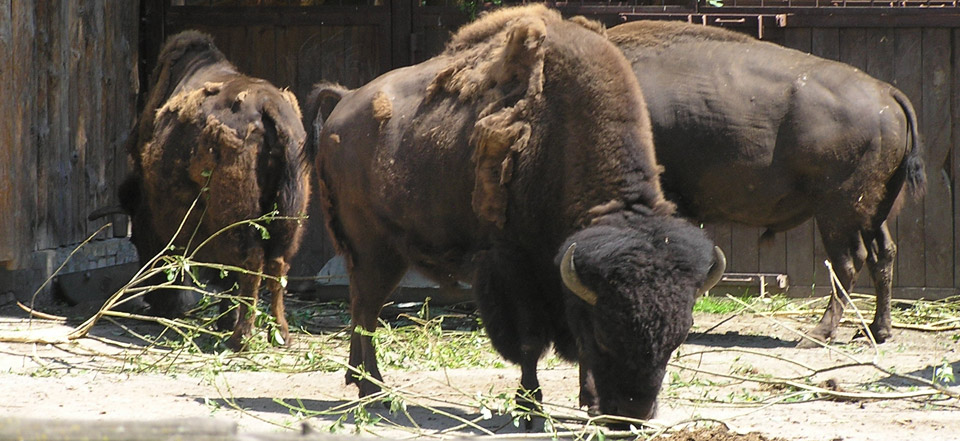 求助DDOS在线攻击平台