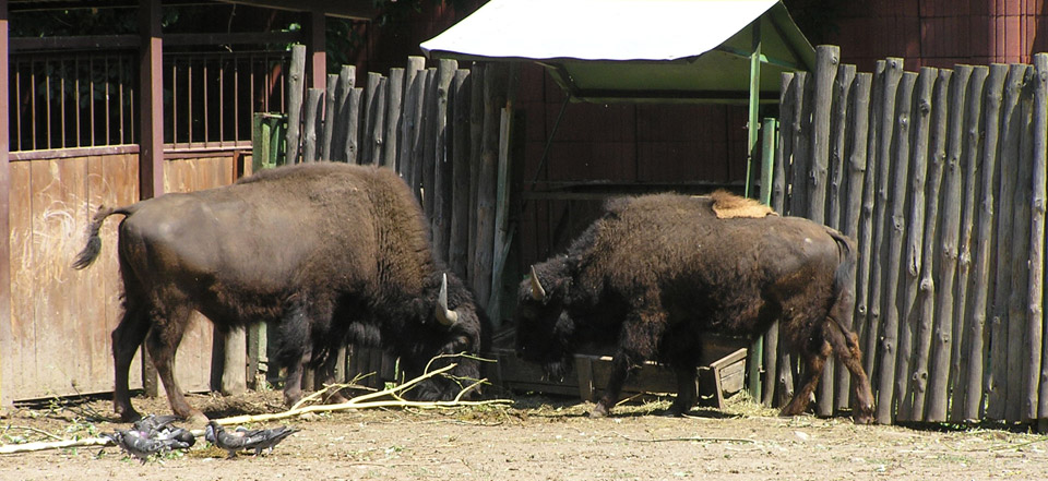 ddos压力测试平台
