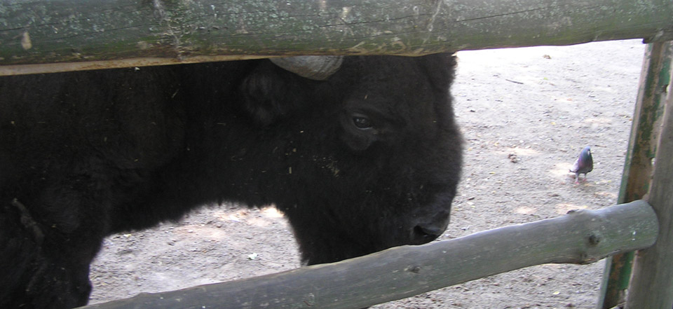 ddos压力测试平台